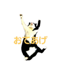 本日のご気分（個別スタンプ：3）