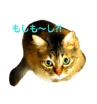 本日のご気分（個別スタンプ：8）