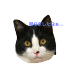 本日のご気分（個別スタンプ：14）