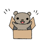 くま子のスタンプ（個別スタンプ：21）
