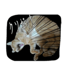 たまごねこねこ2（個別スタンプ：10）
