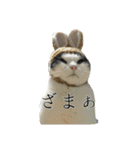たまごねこねこ2（個別スタンプ：12）