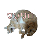 たまごねこねこ2（個別スタンプ：18）