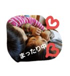okeisan（個別スタンプ：14）