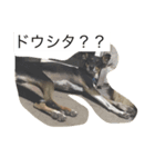 犬の日常を過ごし方（個別スタンプ：2）