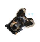 犬の日常を過ごし方（個別スタンプ：3）