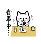 ねこ美さんと時々うさ仔さん～飲み屋編～（個別スタンプ：4）