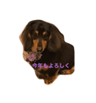 ヒデとマロン（個別スタンプ：2）