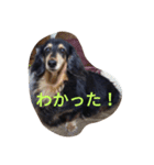 和気ちゃーみーちゃん（個別スタンプ：1）