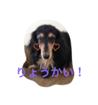 和気ちゃーみーちゃん（個別スタンプ：2）