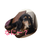 和気ちゃーみーちゃん（個別スタンプ：3）