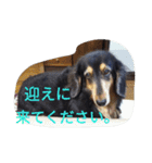 和気ちゃーみーちゃん（個別スタンプ：4）