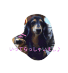 和気ちゃーみーちゃん（個別スタンプ：5）