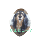 和気ちゃーみーちゃん（個別スタンプ：10）