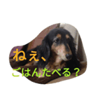 和気ちゃーみーちゃん（個別スタンプ：13）