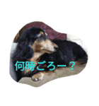 和気ちゃーみーちゃん（個別スタンプ：14）