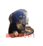 和気ちゃーみーちゃん（個別スタンプ：15）