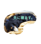 和気ちゃーみーちゃん（個別スタンプ：18）
