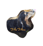 和気ちゃーみーちゃん（個別スタンプ：20）