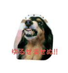 和気ちゃーみーちゃん（個別スタンプ：21）