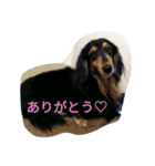 和気ちゃーみーちゃん（個別スタンプ：22）
