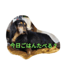 和気ちゃーみーちゃん（個別スタンプ：24）