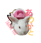 うーちゃんFamily 4（個別スタンプ：5）