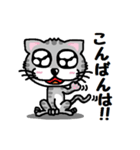 『うるキャラ』ネコさん！アメショ編・敬語（個別スタンプ：7）