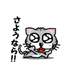『うるキャラ』ネコさん！アメショ編・敬語（個別スタンプ：8）
