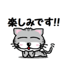 『うるキャラ』ネコさん！アメショ編・敬語（個別スタンプ：14）