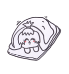 Shih Tzu White（個別スタンプ：6）