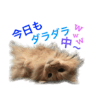 ノルのレッチュん（個別スタンプ：3）
