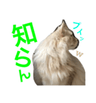 ノルのレッチュん（個別スタンプ：23）
