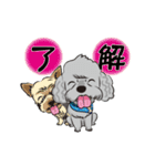 トイプーのプ二君＆ヨーキーのモモちゃん（個別スタンプ：7）