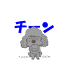 トイプーのプ二君＆ヨーキーのモモちゃん（個別スタンプ：8）