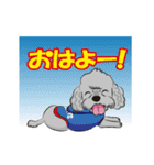 トイプーのプ二君＆ヨーキーのモモちゃん（個別スタンプ：11）
