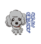 トイプーのプ二君＆ヨーキーのモモちゃん（個別スタンプ：16）