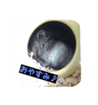 ぼんちゃんだよ！（個別スタンプ：5）