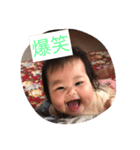 kotothan（個別スタンプ：3）
