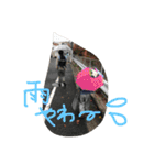 仲良チ3姉妹（個別スタンプ：9）