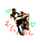 Everyday of runa（個別スタンプ：1）