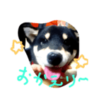 Everyday of runa（個別スタンプ：5）
