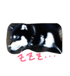 Everyday of runa（個別スタンプ：6）