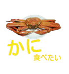 ご飯の写真♪（個別スタンプ：17）