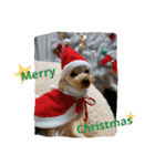 Yorkie arisu (Christmas ＆ New Year)（個別スタンプ：1）