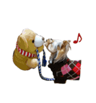 Yorkie arisu (Christmas ＆ New Year)（個別スタンプ：13）