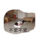 Don't u tired ？ ART ？（個別スタンプ：2）