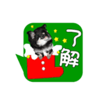 クリスマスワンコ（個別スタンプ：5）