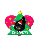 クリスマスワンコ（個別スタンプ：7）