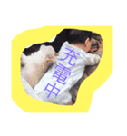あんだんごちゃん01（個別スタンプ：13）